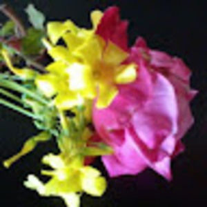 Meet your Posher, Marisol